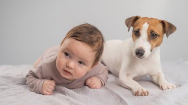 Karnının üstünde yatan bir bebeğin portresi ve Jack Russell Terrier köpeği.