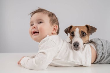 Sevimli erkek bebek ve Jack Russell teriyer köpeği beyaz bir arka planda uzanıyorlar.
