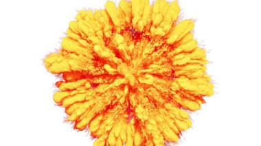 Halka şeklindeki turuncu mürekkep beyaz arka planda farklı yönlere yayılır. 3B görüntüleme