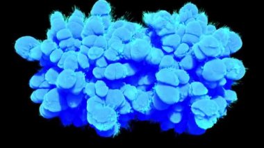 Mavi duman bulutları siyah arka planda bir halka oluşturur. 3d hazırlayıcı