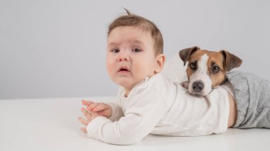 Sevimli erkek bebek ve Jack Russell teriyer köpeği beyaz bir arka planda uzanıyorlar.