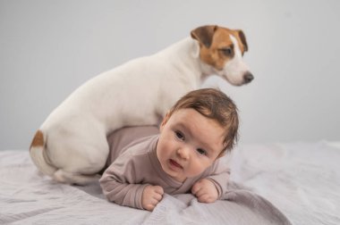 Karnının üstünde yatan bir bebeğin portresi ve Jack Russell Terrier köpeği.