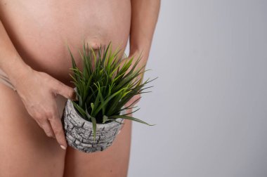 Elinde bitki tutan yüzü olmayan hamile bir kadın. Bikini bölgesinin metaforu