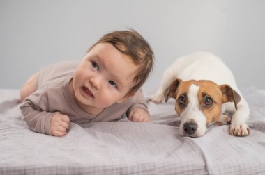 Karnının üstünde yatan bir bebeğin portresi ve Jack Russell Terrier köpeği.