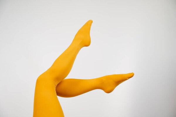 Female legs in ocher tights on a white background