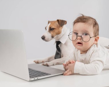 Sevimli erkek bebek ve Jack Russell teriyer köpeği dizüstü bilgisayarda çalışıyor.