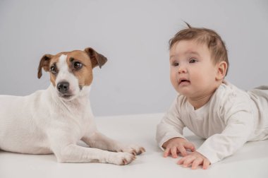 Sevimli erkek bebek ve Jack Russell teriyer köpeği beyaz bir arka planda uzanıyorlar.
