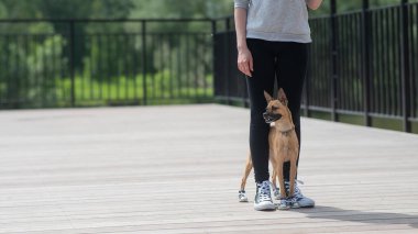 Yüzü olmayan bir kadın ve uyumlu ayakkabılarla yürüyen şirin bir köpek.