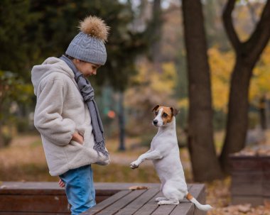 Sonbahar parkında yürüyüş için patilerinden köpek tutan beyaz bir kız. Jack Russell Terrier bir bankta arka ayakları üzerinde duruyor.