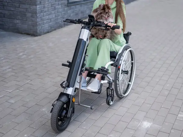 stock image A woman in a wheelchair with a hand-control assist device carries a Spitz merle dog. Electric handbike