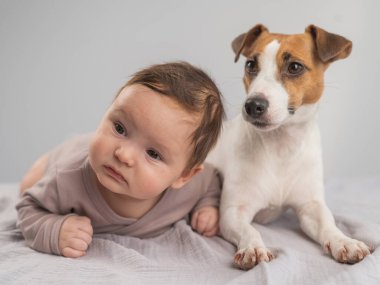 Karnının üstünde yatan bir bebeğin portresi ve Jack Russell Terrier köpeği.