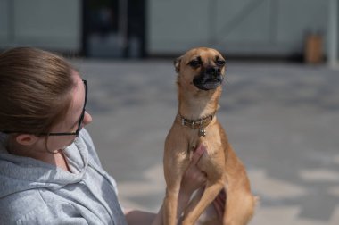 Beyaz bir kadın elinde küçük bir köpek tutuyor.