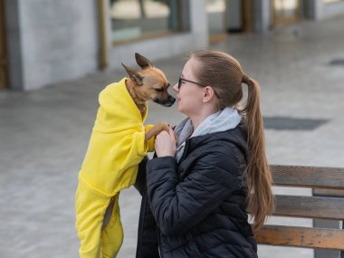 Genç beyaz bir kadın bir Rus oyuncak teriyeriyle yürüyor. Ceketli bir köpek sahibi bankta oturuyor.