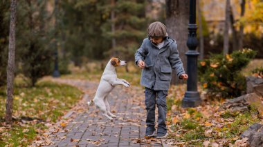 Beyaz çocuk sonbahar parkında bir köpekle yürüyüşe çıkıyor.