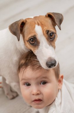 Sevimli erkek bebek ve Jack Russell teriyer köpeği beyaz bir arka planda kucaklaşmışlar. Dikey fotoğraf