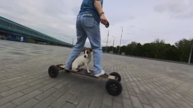 Beyaz kadın elektrikli uzun tahtasına Jack Russell Terrier köpeği ile biniyor.