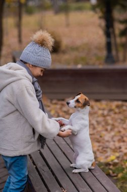 Sonbahar parkında yürüyüş için patilerinden köpek tutan beyaz bir kız. Jack Russell Terrier bir bankta arka ayakları üzerinde duruyor.