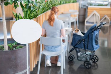 Beyaz kadın bir kafede Jack Russell teriyer köpeğiyle bebek arabasında öğle yemeği yiyor.