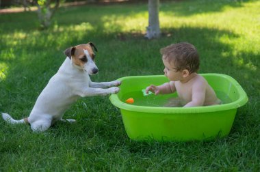 Tatlı çocuk yazın Jack Russell teriyer köpeğiyle havuzda banyo yapıyor.