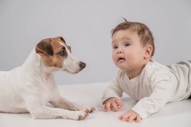 Sevimli erkek bebek ve Jack Russell teriyer köpeği beyaz bir arka planda uzanıyorlar.