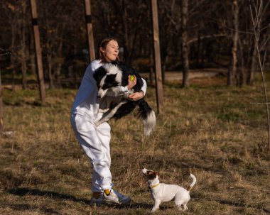 Beyaz bir kadın güz parkında iki köpekleri eğitiyor. Collie ve Jack Russell Terrier.