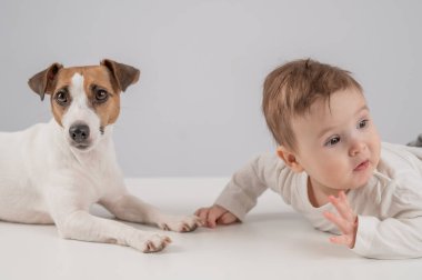 Sevimli erkek bebek ve Jack Russell teriyer köpeği beyaz bir arka planda uzanıyorlar.