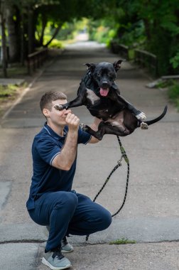 Beyaz bir adam pitbull köpeğini atlamak için eğitiyor. Dikey fotoğraf