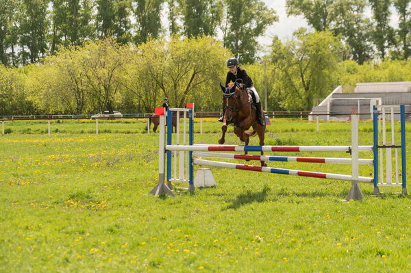 A young girl goes in for horse riding. A horse jumps over a barrier