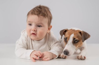 Sevimli erkek bebek ve Jack Russell teriyer köpeği beyaz bir arka planda uzanıyorlar.