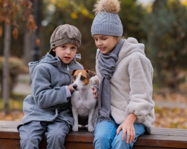 Erkek ve kız kardeş, sonbahar parkında yürüyüş yapmak için bir bankta bir köpekle kucaklaşırlar. Oğlan, kız ve Jack Russell Terrier