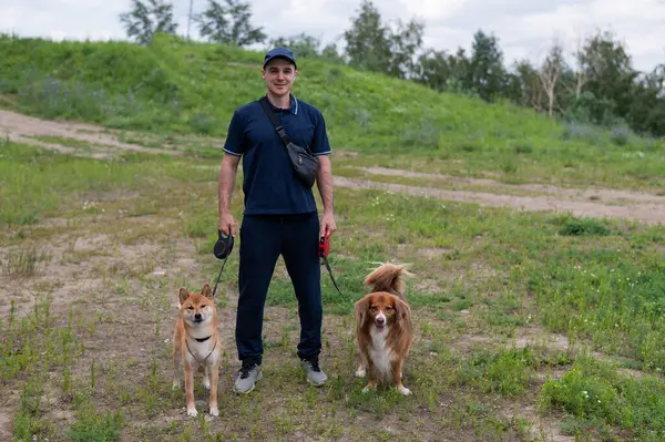 stock image A Caucasian man walks his dogs in the park