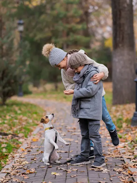 Beyaz çocuklar sonbahar parkında Jack Russell Terrier köpeğiyle yürüyorlar.