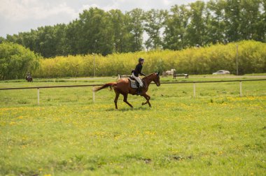 Genç bir kadın ata binmeye gider.