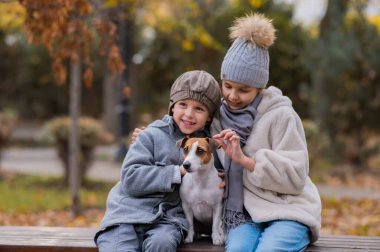 Erkek ve kız kardeş, sonbahar parkında yürüyüş yapmak için bir bankta bir köpekle kucaklaşırlar. Oğlan, kız ve Jack Russell Terrier