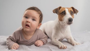 Karnının üstünde yatan bir bebeğin portresi ve Jack Russell Terrier köpeği.