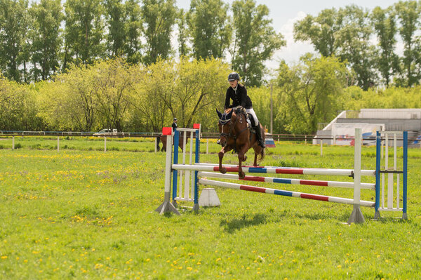 A young girl goes in for horse riding. A horse jumps over a barrier