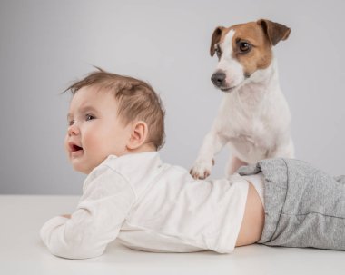 Sevimli erkek bebek ve Jack Russell teriyer köpeği beyaz bir arka planda uzanıyorlar.