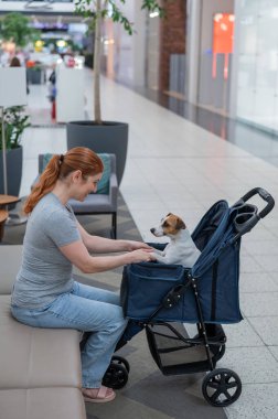 Beyaz kadın Jack Russell teriyer köpeğini okşuyor. Alışveriş merkezinde bir evcil hayvanla alışveriş yapmak. Dikey fotoğraf