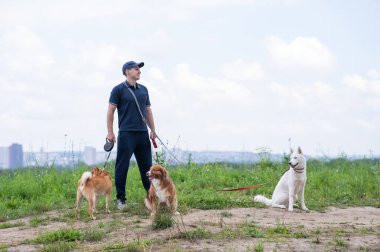Beyaz bir adam üç köpekle yürür. Köpek gezdirici