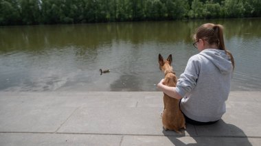 Genç beyaz bir kadın ve nehir kıyısında yürüyen şirin bir köpek.