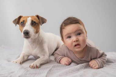 Karnının üstünde yatan bir bebeğin portresi ve Jack Russell Terrier köpeği.