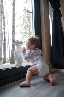 Köpek verandanın penceresinde duruyor ve pençesini camdan yan taraftaki ayakta duran bebeğe doğru vuruyor. Dikey fotoğraf