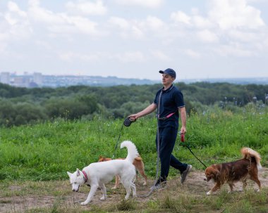 Beyaz bir adam üç köpekle yürür. Köpek gezdirici