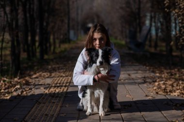 Sonbahar parkında sınır köpeğini kucaklayan beyaz bir kadın. Köpekli bir kızın portresi.