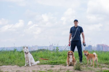 Beyaz bir adam üç köpekle yürür. Köpek gezdirici