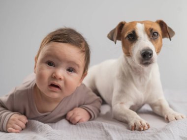 Karnının üstünde yatan bir bebeğin portresi ve Jack Russell Terrier köpeği.