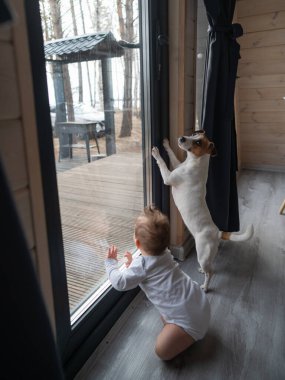 Tatlı erkek bebek ve Jack Russell teriyer köpeği verandanın penceresinden bakıyor. Dikey fotoğraf