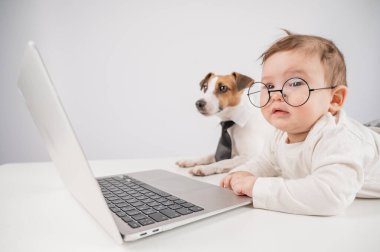 Sevimli erkek bebek ve Jack Russell teriyer köpeği dizüstü bilgisayarda çalışıyor.