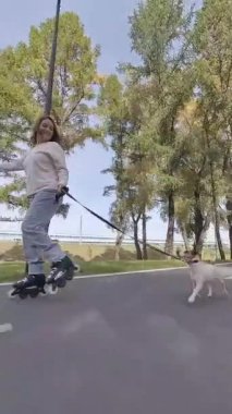 Beyaz kadın, Jack Russell Terrier köpeği ile parkta paten kayıyor. Dikey video