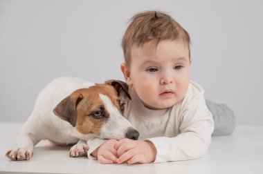 Sevimli erkek bebek ve Jack Russell teriyer köpeği beyaz bir arka planda uzanıyorlar.